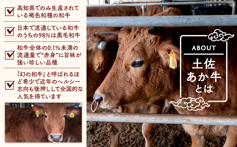 希少あかうし 土佐あかうし ハンバーグ 2.0kg 2kg 200g × 10個 合い挽きハンバーグ 冷凍 真空 小分け 個包装 肉汁 たっぷり 大容量 大きめ 合挽き 牛肉 豚肉 保存料 不使用 ビーフ ポーク 合いびき肉 挽肉 おかず 惣菜 晩ごはん 贅沢 お取り寄せ 肉 ギフト 人気 高知県 須崎市 お惣菜 はんばーぐ hannba-gu