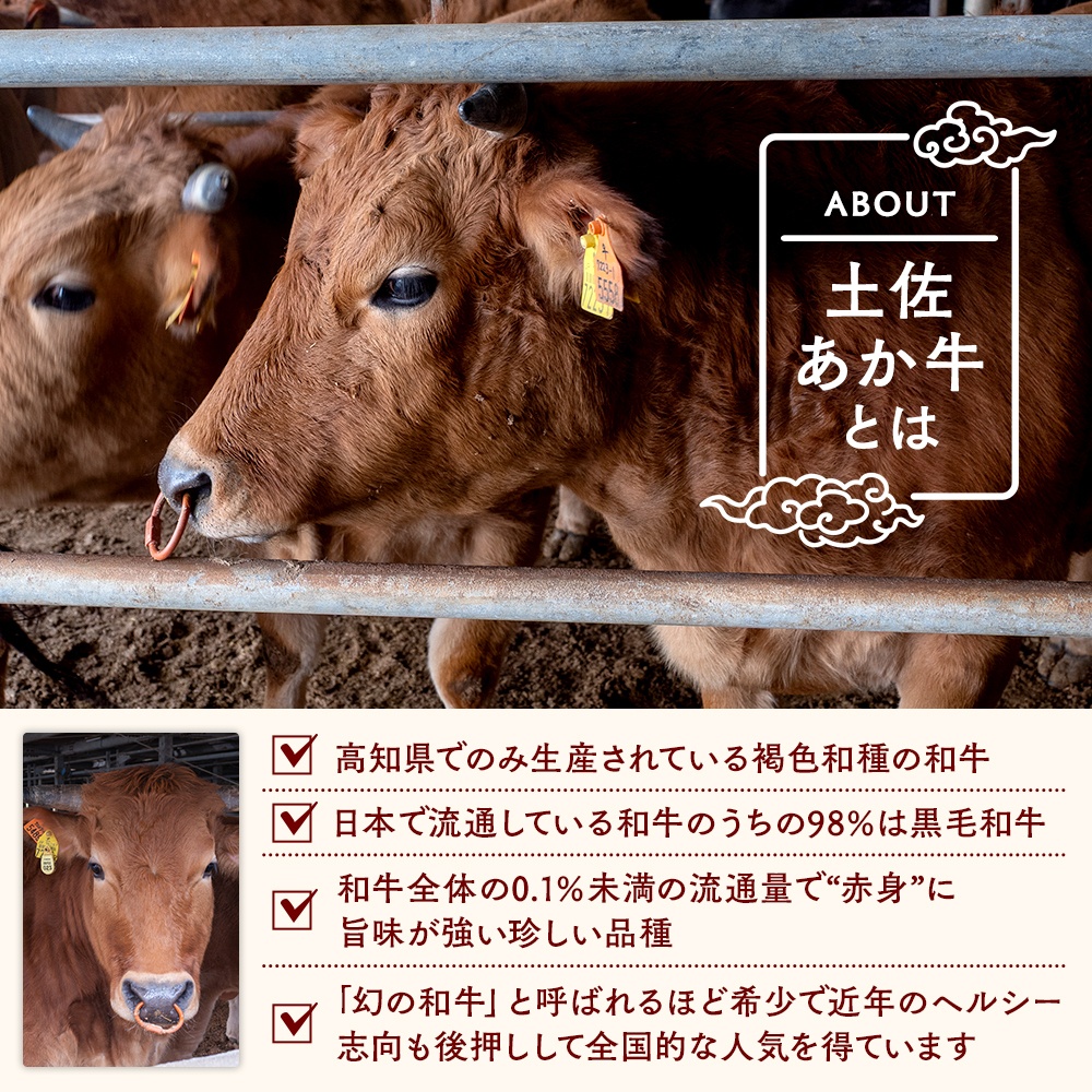 希少あかうし 土佐あかうし ハンバーグ 2.0kg 2kg 200g × 10個 合い挽きハンバーグ 冷凍 真空 小分け 個包装 肉汁 たっぷり 大容量 大きめ 合挽き 牛肉 豚肉 保存料 不使用 ビーフ ポーク 合いびき肉 挽肉 おかず 惣菜 晩ごはん 贅沢 お取り寄せ 肉 ギフト 人気 高知県 須崎市 お惣菜 はんばーぐ hannba-gu