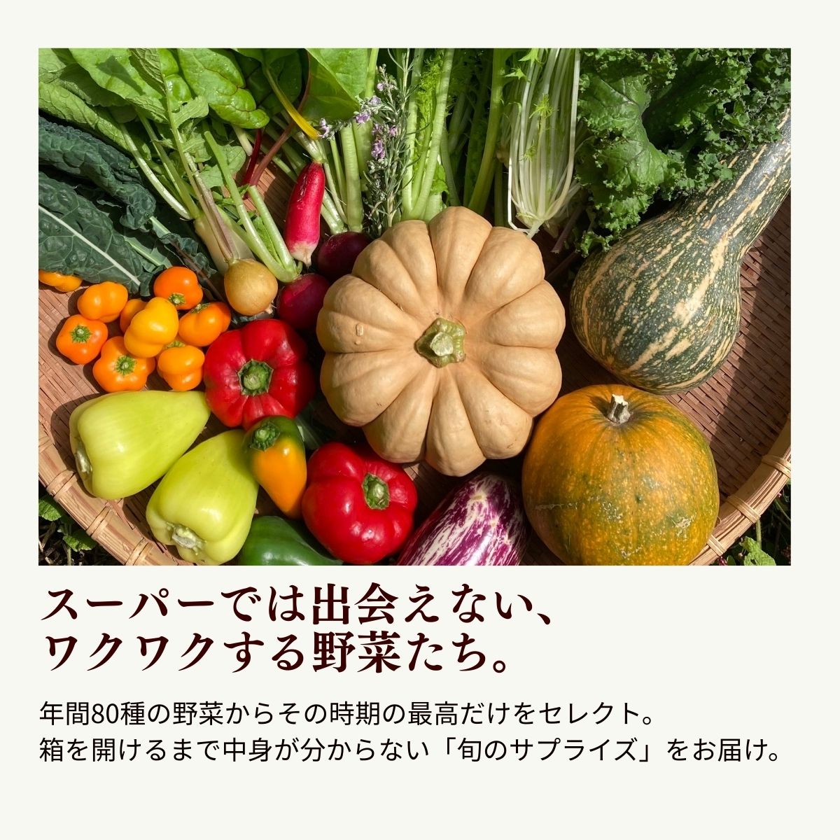 農薬化学肥料不使用 雲の上ガーデンのぴかぴか野菜セット（５回お届け）季節にあわせて10品目前後を毎月お届け【L002】季節 旬 詰め合わせ 採れたて 新鮮 産地直送 高知県産 冷蔵便 定期便