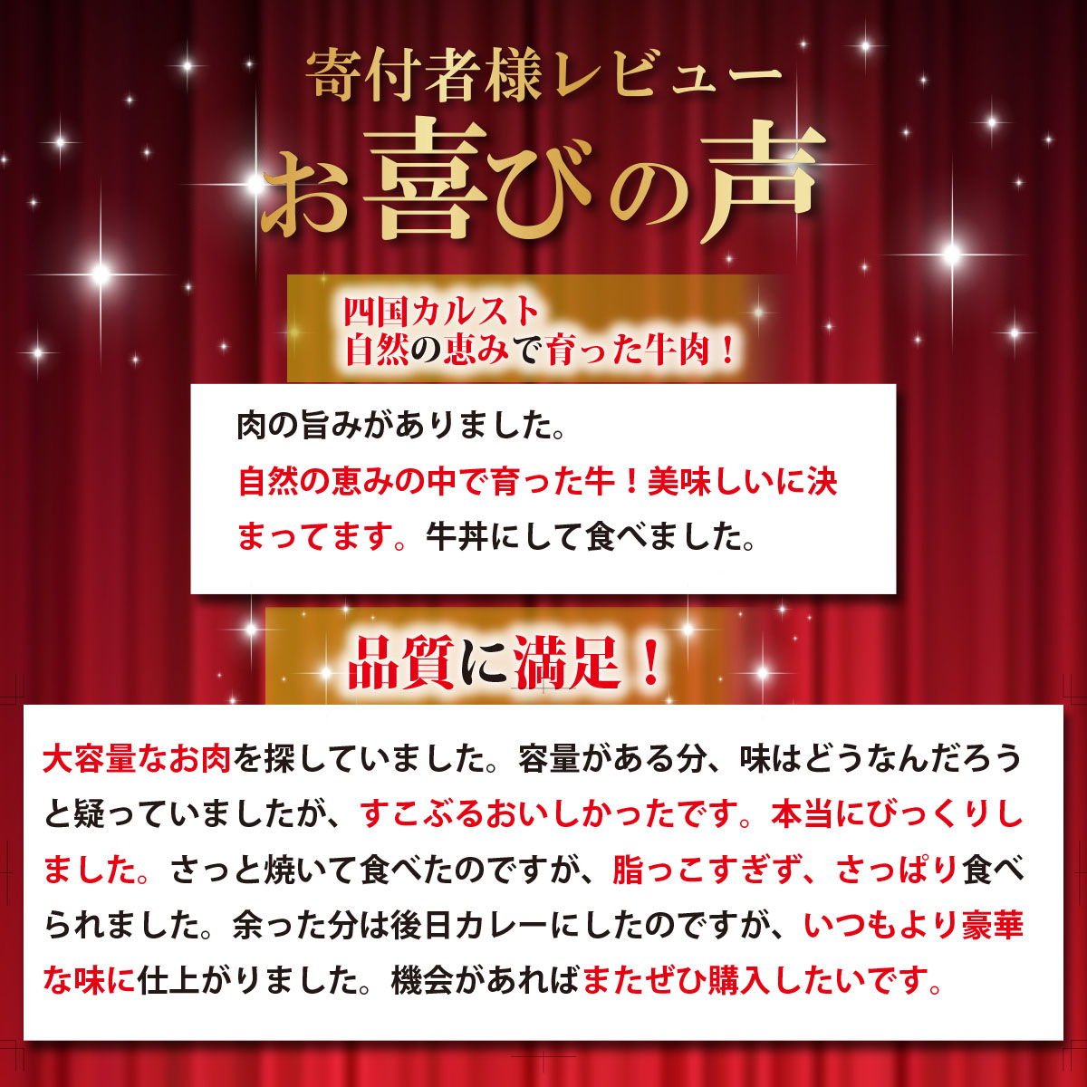 低温でも脂身がとろけるゆすはら牛切り落とし 300g　牛肉 和牛 黒毛 こま切れ オレイン酸 高知県産