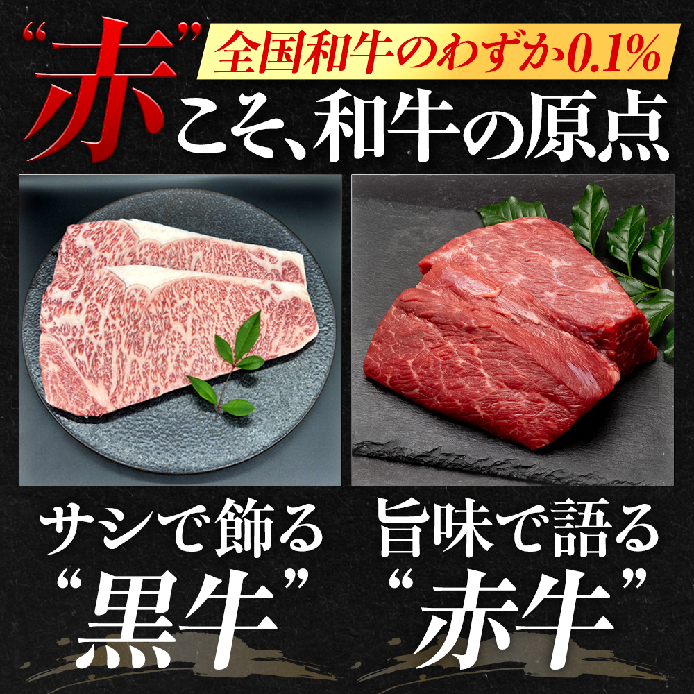 希少あかうし 土佐あかうし ハンバーグ 2.0kg 2kg 200g × 10個 合い挽きハンバーグ 冷凍 真空 小分け 個包装 肉汁 たっぷり 大容量 大きめ 合挽き 牛肉 豚肉 保存料 不使用 ビーフ ポーク 合いびき肉 挽肉 おかず 惣菜 晩ごはん 贅沢 お取り寄せ 肉 ギフト 人気 高知県 須崎市 お惣菜 はんばーぐ hannba-gu