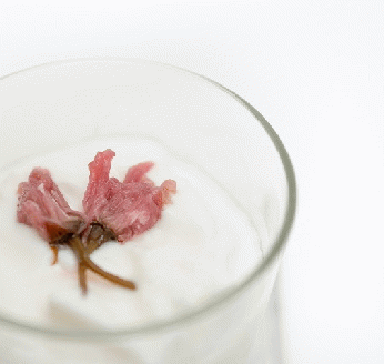 四万十川源流域の無農薬八重桜 [桜花爛漫 桜の花コンフィチュール ]無添加・無農薬の桜ジャム 無農薬栽培の手摘み桜と高知県産オーガニックレモン 食べるJAPAN美味アワード（2023年）地域のかがやき賞 受賞 製菓 高知県産 冷蔵便