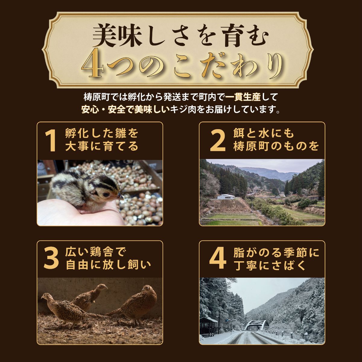 四万十川の源流域で育った自慢のキジ 高級キジ１kgセット 希少キジ肉/キジガラ（株式会社四万川雉生産部）【K001】高級食材 希少肉 高知県産 冷凍便