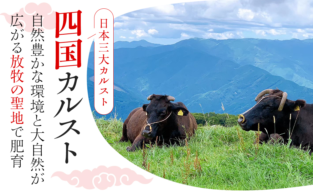 希少あかうし 土佐あかうし ハンバーグ 2.0kg 2kg 200g × 10個 合い挽きハンバーグ 冷凍 真空 小分け 個包装 肉汁 たっぷり 大容量 大きめ 合挽き 牛肉 豚肉 保存料 不使用 ビーフ ポーク 合いびき肉 挽肉 おかず 惣菜 晩ごはん 贅沢 お取り寄せ 肉 ギフト 人気 高知県 須崎市 お惣菜 はんばーぐ hannba-gu