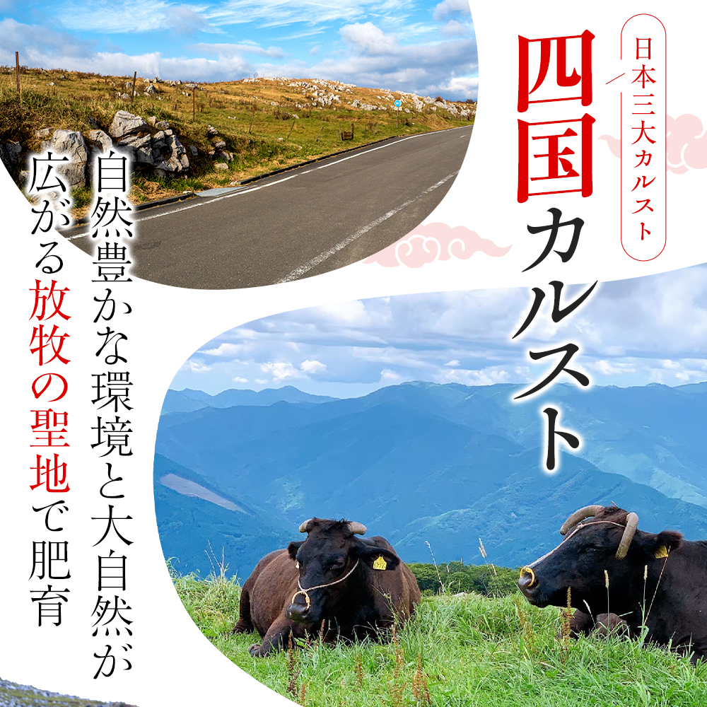 希少あかうし 土佐あかうし ハンバーグ 2.0kg 2kg 200g × 10個 合い挽きハンバーグ 冷凍 真空 小分け 個包装 肉汁 たっぷり 大容量 大きめ 合挽き 牛肉 豚肉 保存料 不使用 ビーフ ポーク 合いびき肉 挽肉 おかず 惣菜 晩ごはん 贅沢 お取り寄せ 肉 ギフト 人気 高知県 須崎市 お惣菜 はんばーぐ hannba-gu