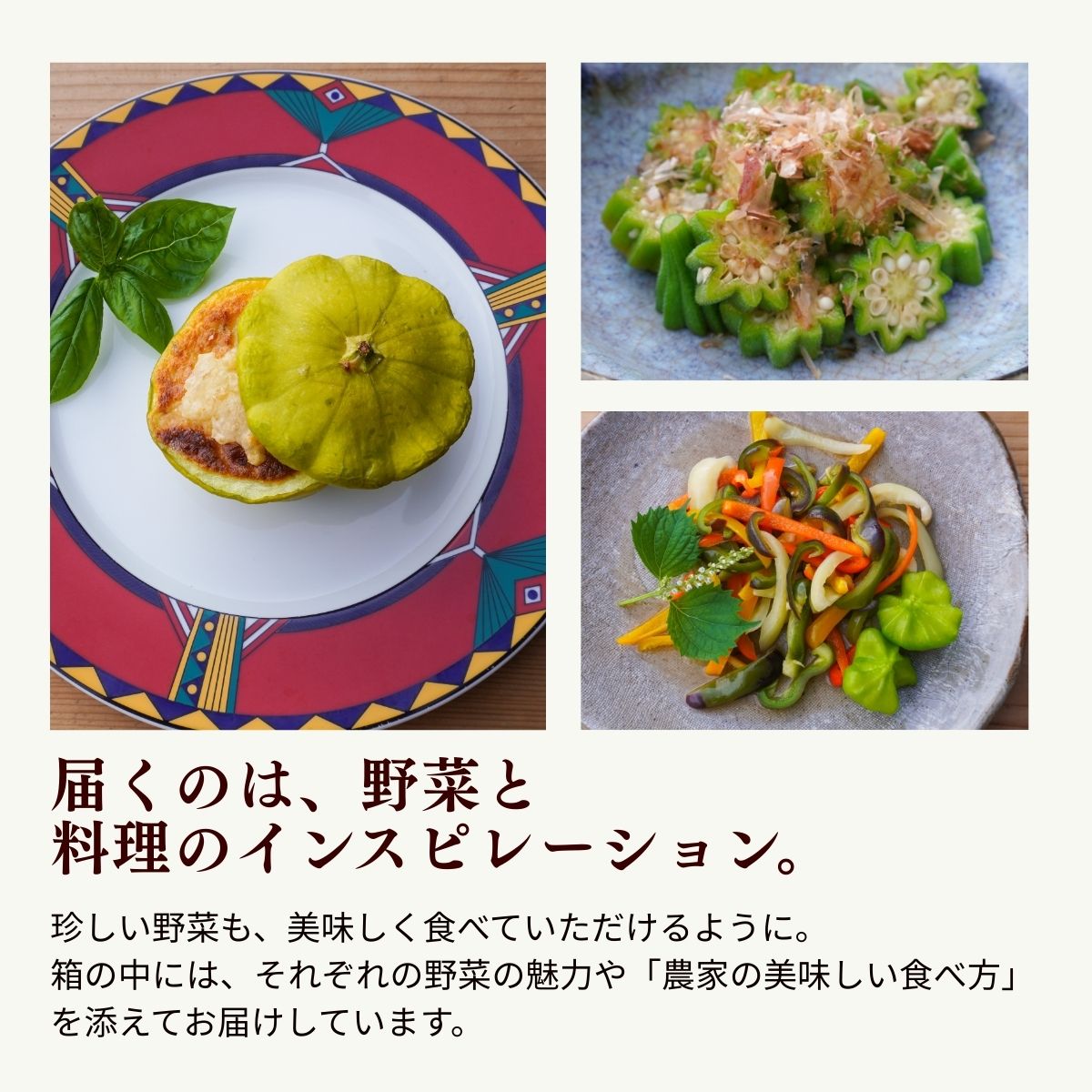 農薬化学肥料不使用 雲の上ガーデンのぴかぴか野菜セット（５回お届け）季節にあわせて10品目前後を毎月お届け【L002】季節 旬 詰め合わせ 採れたて 新鮮 産地直送 高知県産 冷蔵便 定期便