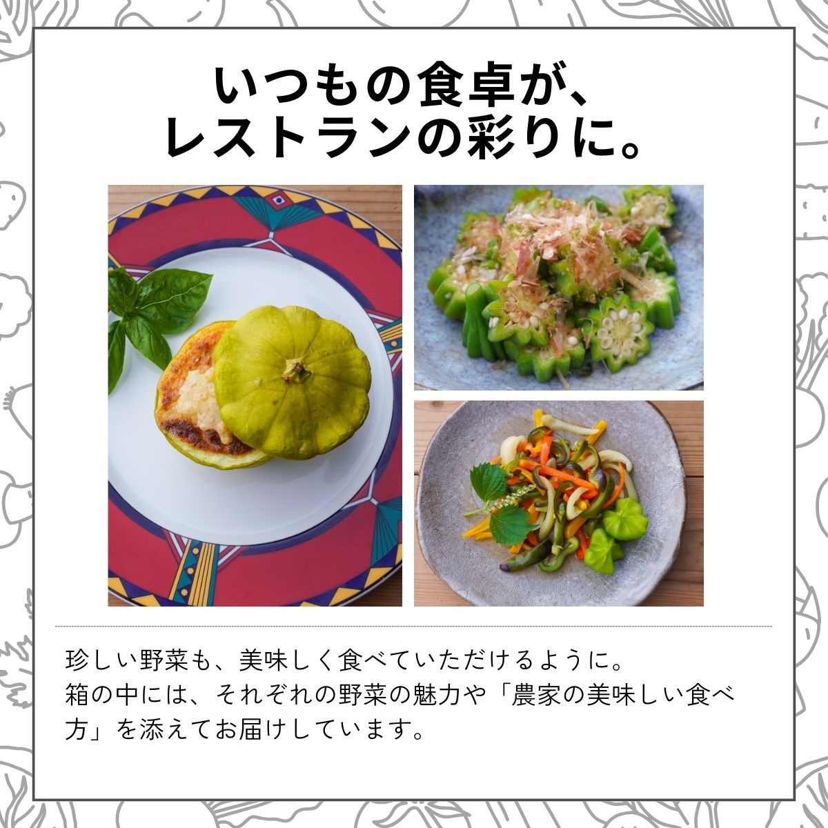 農薬化学肥料不使用 雲の上ガーデンのぴかぴか野菜セット（５回お届け）季節にあわせて10品目前後を毎月お届け【L002】季節 旬 詰め合わせ 採れたて 新鮮 産地直送 高知県産 冷蔵便 定期便