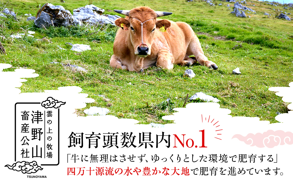 希少あかうし 土佐あかうし ハンバーグ 2.0kg 2kg 200g × 10個 合い挽きハンバーグ 冷凍 真空 小分け 個包装 肉汁 たっぷり 大容量 大きめ 合挽き 牛肉 豚肉 保存料 不使用 ビーフ ポーク 合いびき肉 挽肉 おかず 惣菜 晩ごはん 贅沢 お取り寄せ 肉 ギフト 人気 高知県 須崎市 お惣菜 はんばーぐ hannba-gu