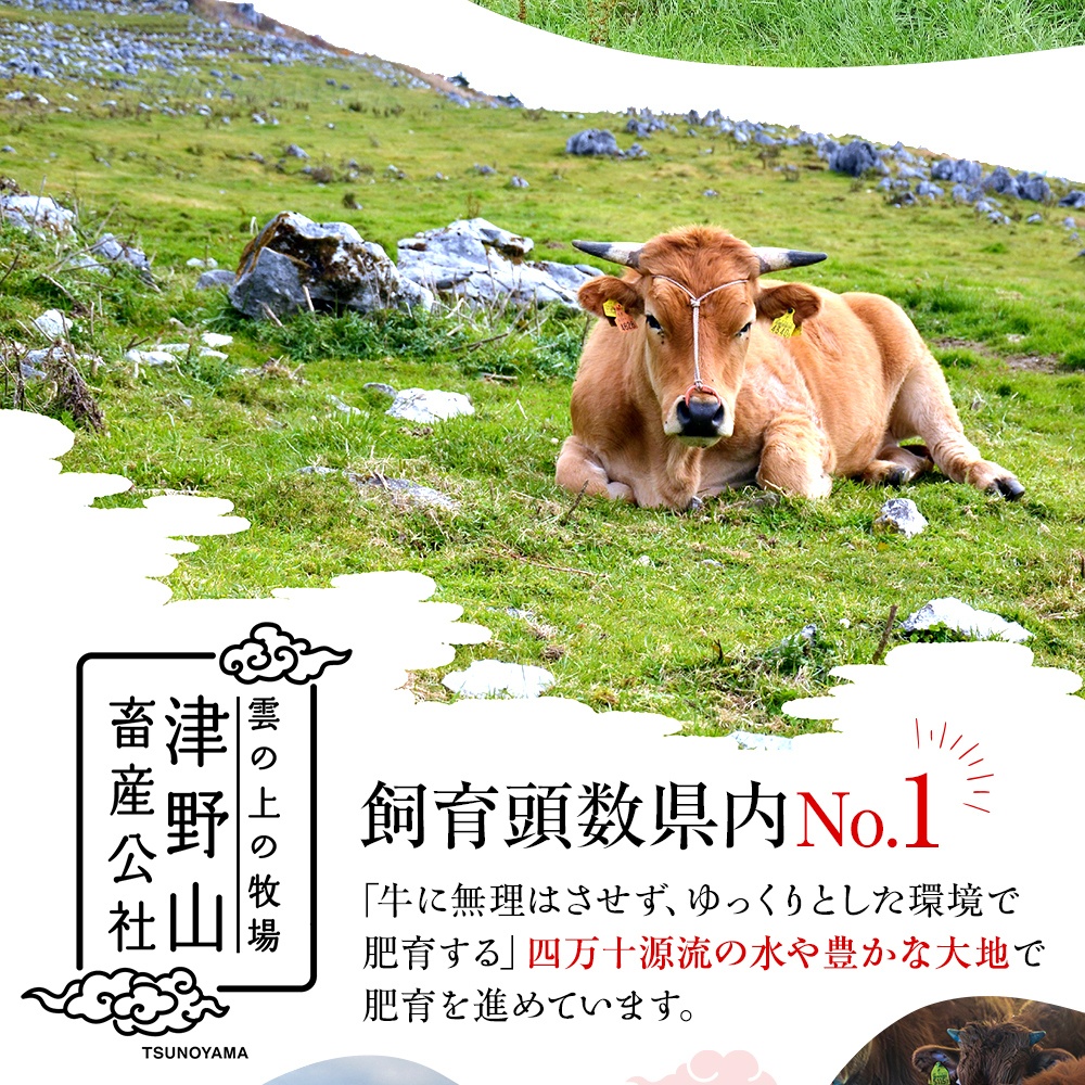 希少あかうし 土佐あかうし ハンバーグ 2.0kg 2kg 200g × 10個 合い挽きハンバーグ 冷凍 真空 小分け 個包装 肉汁 たっぷり 大容量 大きめ 合挽き 牛肉 豚肉 保存料 不使用 ビーフ ポーク 合いびき肉 挽肉 おかず 惣菜 晩ごはん 贅沢 お取り寄せ 肉 ギフト 人気 高知県 須崎市 お惣菜 はんばーぐ hannba-gu