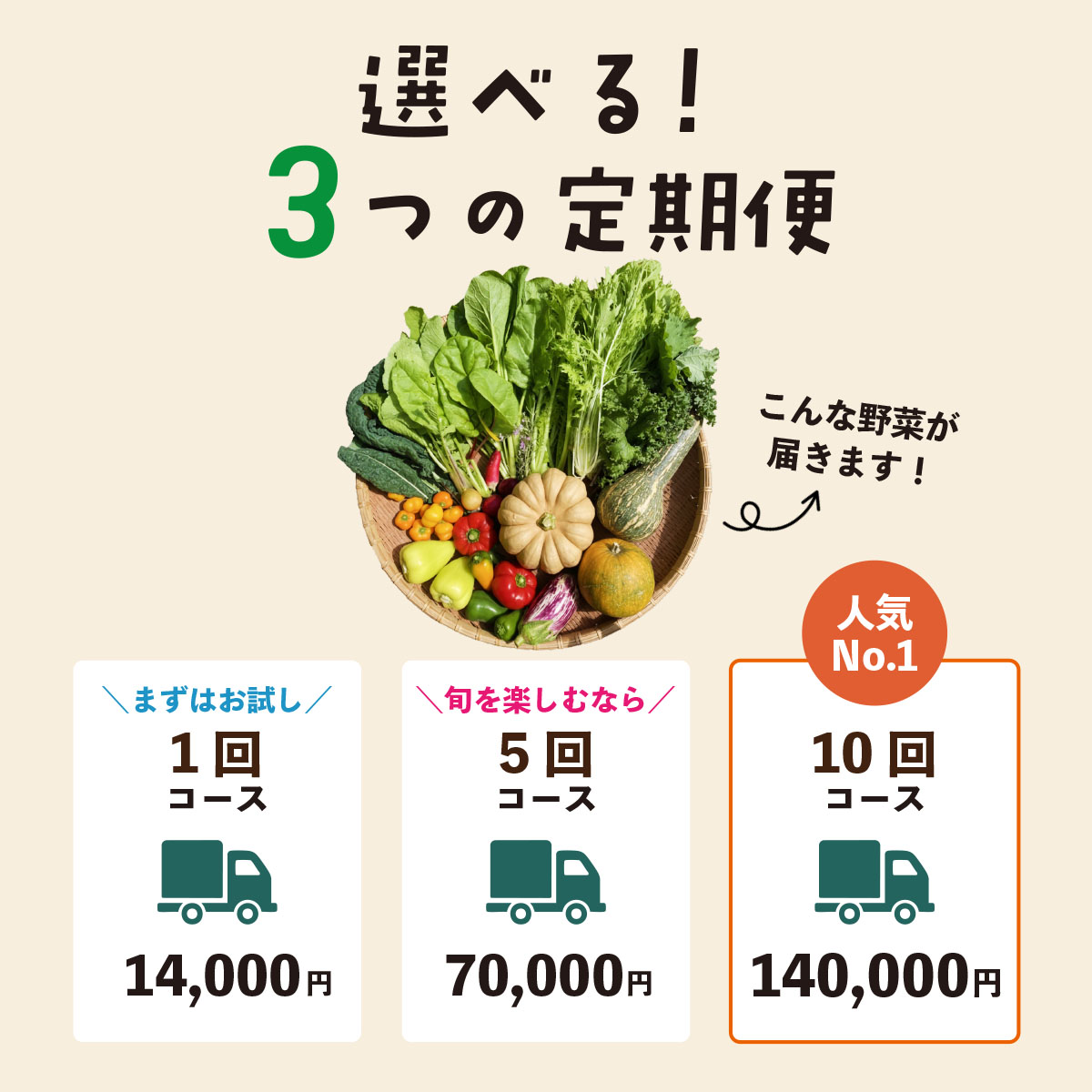 農薬化学肥料不使用 雲の上ガーデンのぴかぴか野菜セット【お試し便】季節にあわせて10品目前後をお届け【L001】季節 旬 詰め合わせ 採れたて 新鮮 産地直送 高知県産 冷蔵便