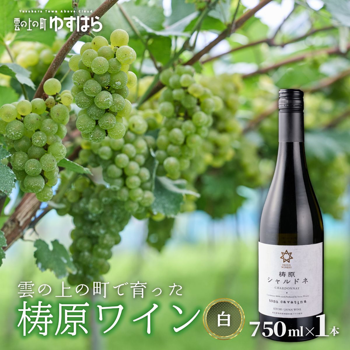 梼原　シャルドネ