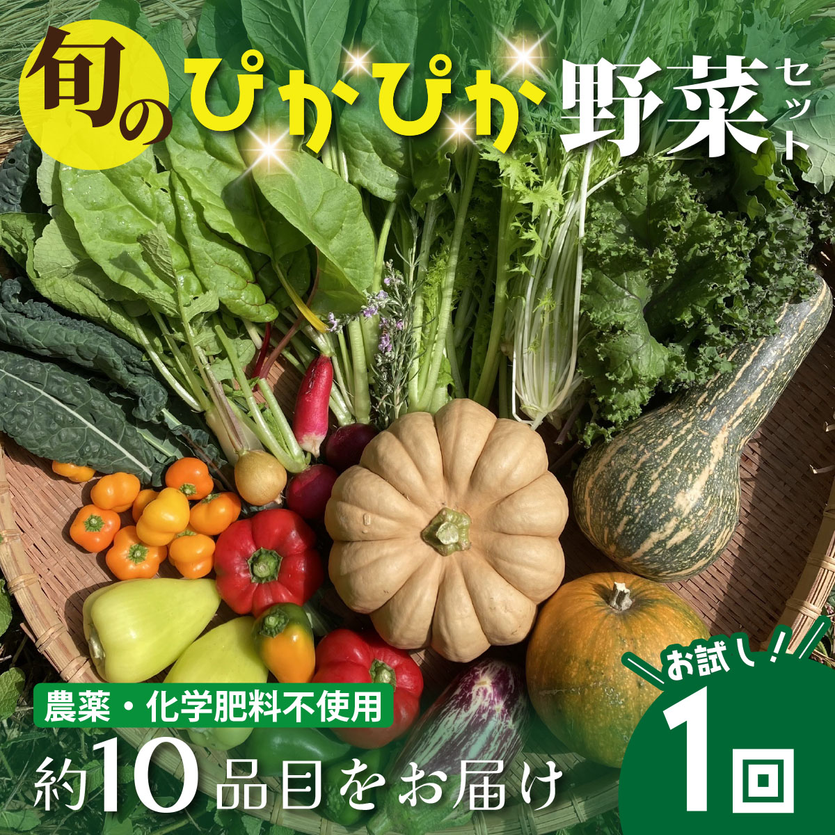 農薬化学肥料不使用 雲の上ガーデンのぴかぴか野菜セット【お試し便】季節にあわせて10品目前後をお届け【L001】季節 旬 詰め合わせ 採れたて 新鮮 産地直送 高知県産 冷蔵便