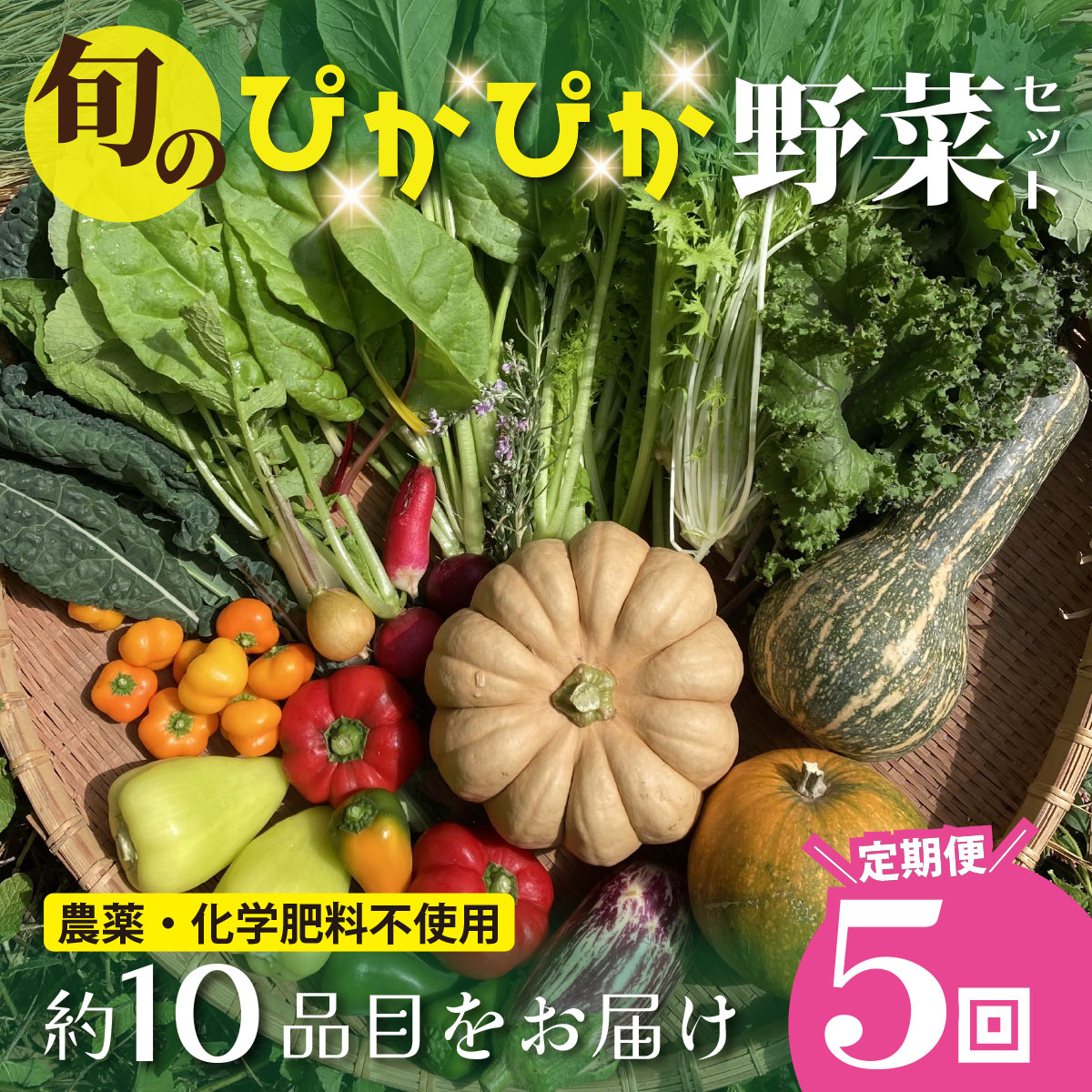 農薬化学肥料不使用 雲の上ガーデンのぴかぴか野菜セット（５回お届け）季節にあわせて10品目前後を毎月お届け【L002】季節 旬 詰め合わせ 採れたて 新鮮 産地直送 高知県産 冷蔵便 定期便