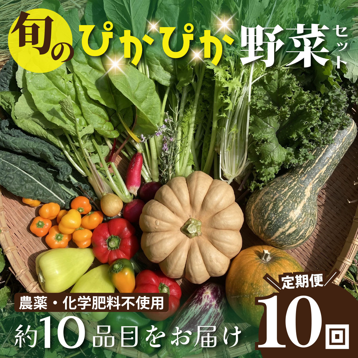 農薬化学肥料不使用 雲の上ガーデンのぴかぴか野菜セット（10回お届け）季節にあわせて10品目前後を毎月お届け【L003】季節 旬 詰め合わせ 採れたて 新鮮 産地直送 高知県産 冷蔵便 定期便