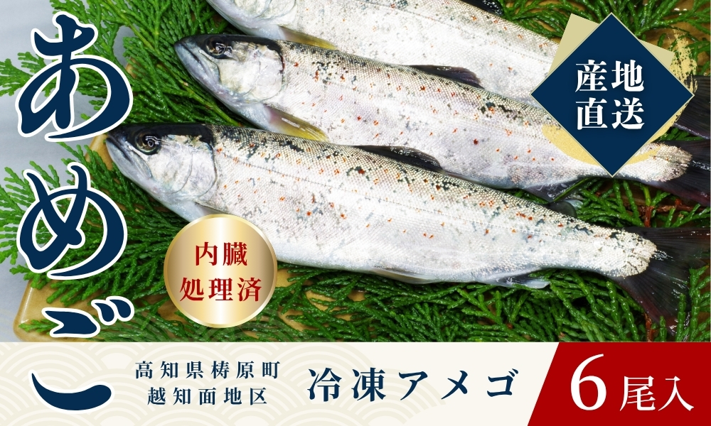 四万十川源流域の清流で育ったゆすはらアメゴ（６匹入り）　アメゴ アマゴ 四万十川 清流 手作業 急速冷凍 川魚 養殖 新鮮 塩焼き　ICT デジタル化 22~23cm