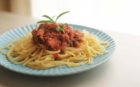 ほろほろ食感のプルドポーク（100g×5パック） トマトBBQソース 豚肉 家庭料理 やわらかい 冷凍 高知 ブランド豚