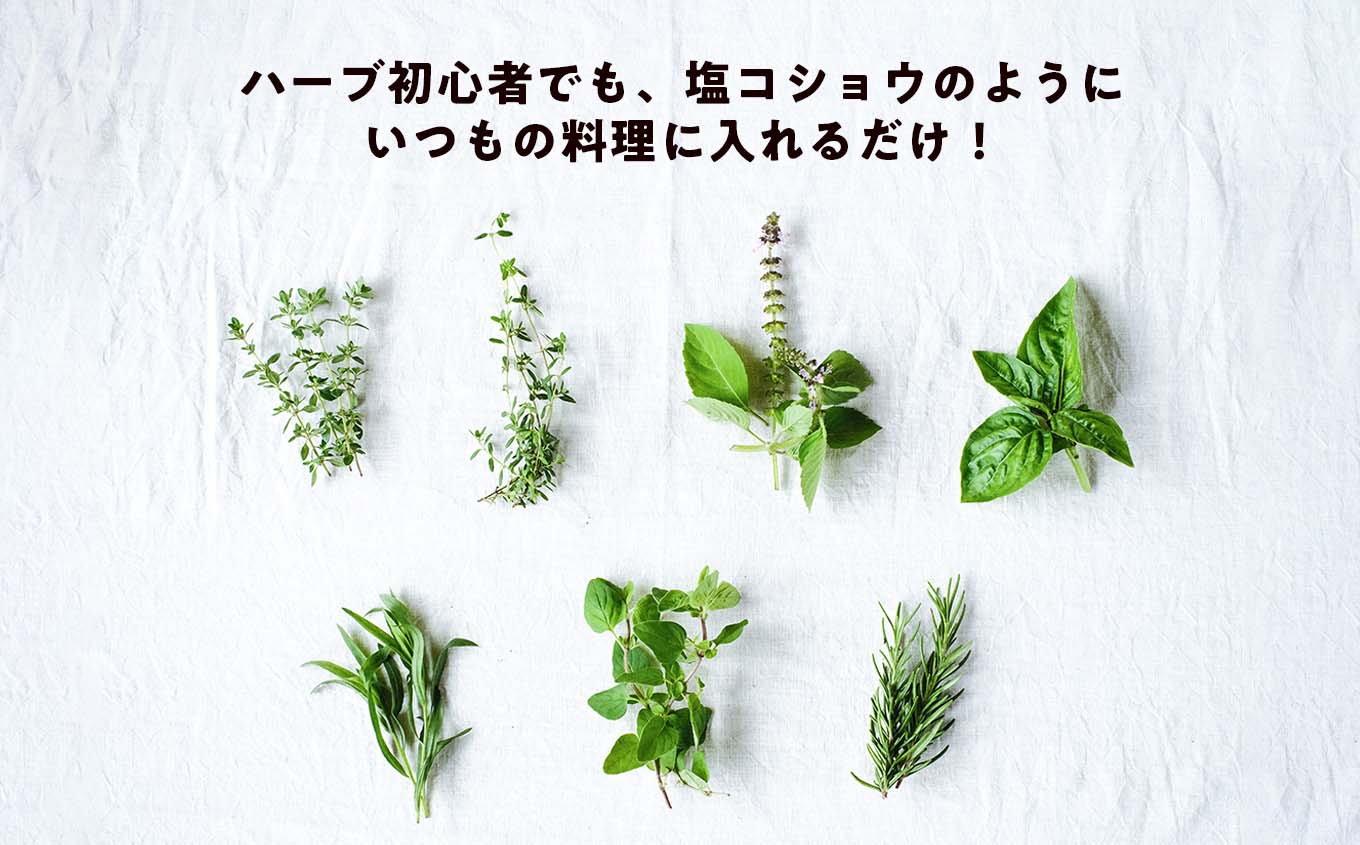【期間限定】料理にぴったり！ハーブ農家が選ぶハーブ6種セット 化学肥料農薬不使用 バジル ローズマリー タイム オレガノ