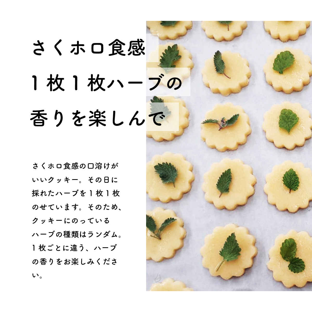 ハーブと米粉のクッキー 詰め合わせ グルテンフリー お菓子 ノニ農法 ハーブ ゆっこママのハーブクッキー スイーツ