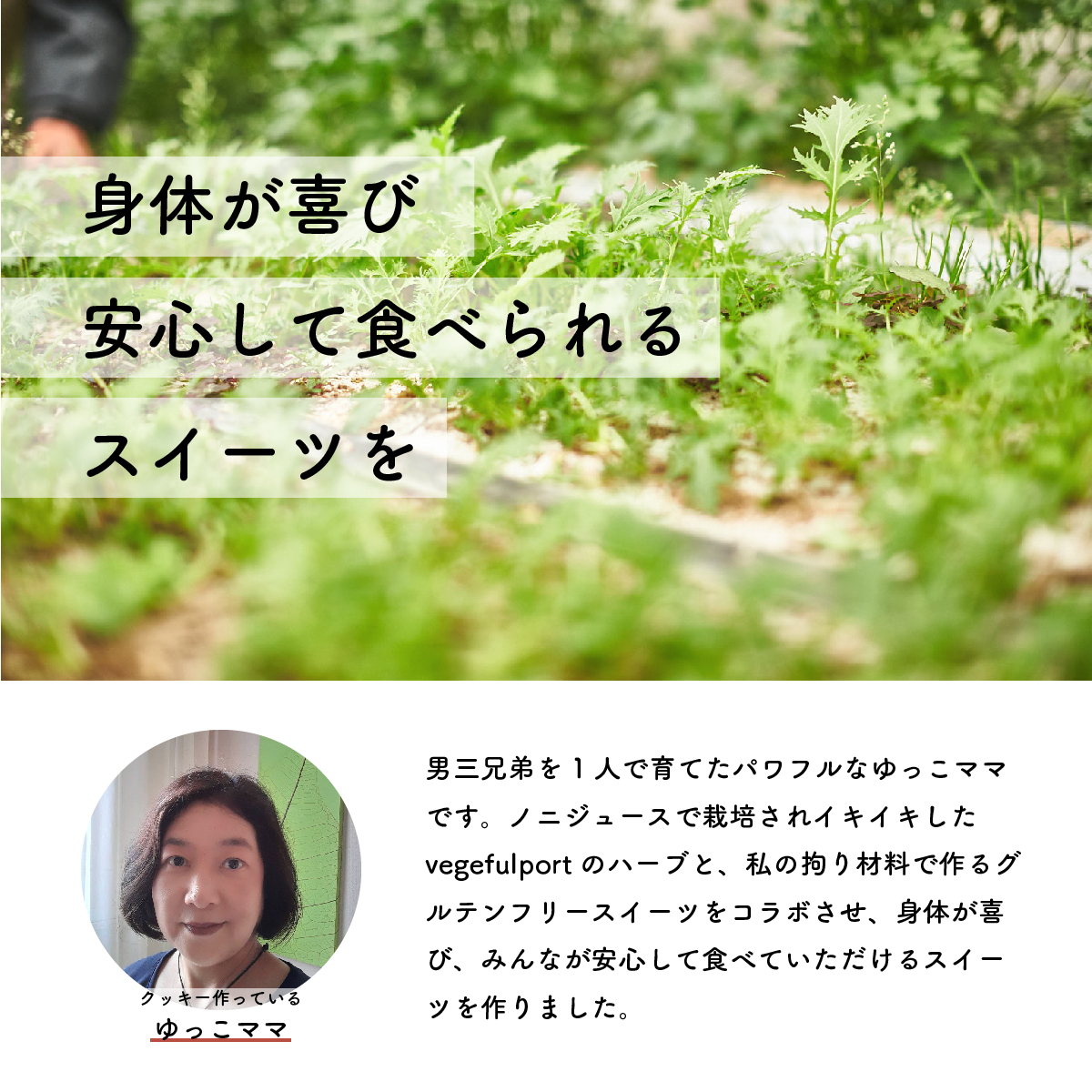 ハーブと米粉のクッキー 詰め合わせ グルテンフリー お菓子 ノニ農法 ハーブ ゆっこママのハーブクッキー スイーツ