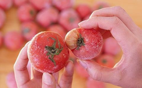 【訳あり】冷凍トマト・お試し30個／約1.5kg 冷凍で皮むき簡単。保存がきく！