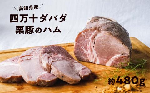 四万十ダバダ火振栗豚 ハム（約480g） 豚肉 ハム 冷凍 ブランド 豚肉