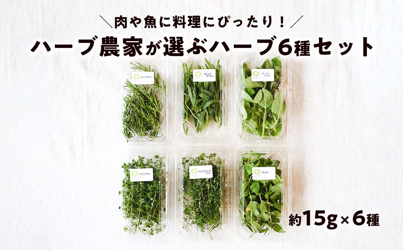 【期間限定】料理にぴったり！ハーブ農家が選ぶハーブ6種セット 化学肥料農薬不使用 バジル ローズマリー タイム オレガノ