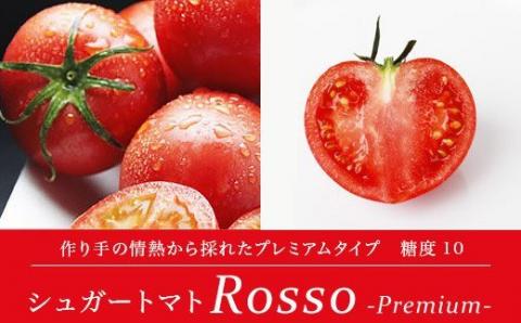 [先行予約・2024年2月]シュガートマト ロッソプレミアム10(糖度10度以上) 1kg 高糖度 フルーツトマト