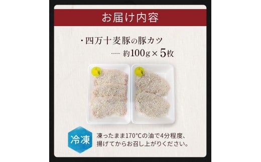四万十麦豚 豚カツ （約100g×5枚）平野協同畜産 豚肉 麦豚 四万十麦豚 ブランド豚 トンカツ 豚カツ 冷凍カツ 豚ロース 背ロース／Ahc-17