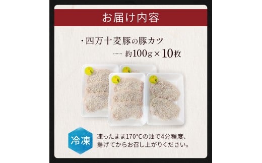 四万十麦豚 豚カツ （約100g×10枚）平野協同畜産 豚肉 麦豚 四万十麦豚 ブランド豚 トンカツ 豚カツ 冷凍カツ 豚ロース 背ロース／Ahc-18