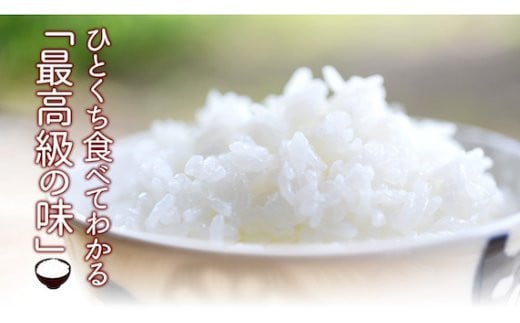 ◎令和7年産米◎四万十育ちの美味しい「仁井田米」にこまる5kg／Bmu-D55