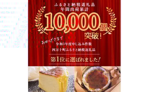 バスクチーズケーキ～四万十の米粉入り～ 2個セット ／Bmu-64