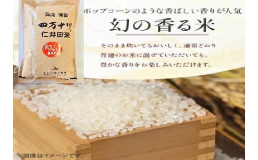 【令和7年産米】樽井商店の仁井田米「幻の香る米」6kg　／Bti-C03 　