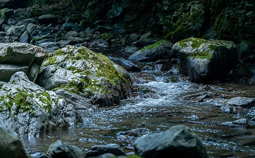 焼くだけ簡単！無投薬で四万十育ちのあめごの開き　大サイズ6匹 ／Eay-05