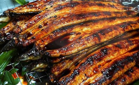 四万十地焼き鰻２尾 蒲焼＆白焼セット／Esg-20