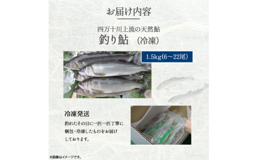 四万十川上流の天然鮎 釣り鮎1.5kg【冷凍 6～22尾】【着日指定不可】／Esj-43k