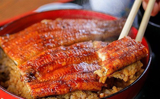 うなぎ蒲焼き【160g×2本セット】／Esu-124 