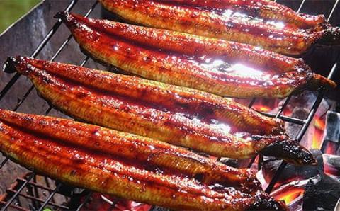 うなぎ 白焼き 蒲焼き 2本セット／Esu-126