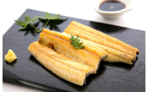 期間限定 数量限定 塩うなぎセット 280g（140g×2本） ウナギ 鰻 小分け 惣菜 国産 冷凍 ウナギ 鰻／Esu-201