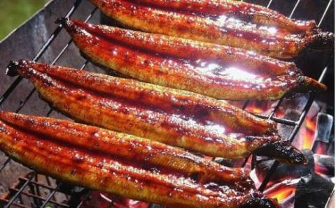 うなぎ蒲焼き【260g x 1本】／Esu-40