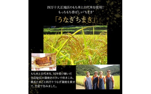 うなぎ ちまき3袋セット／Esu-78