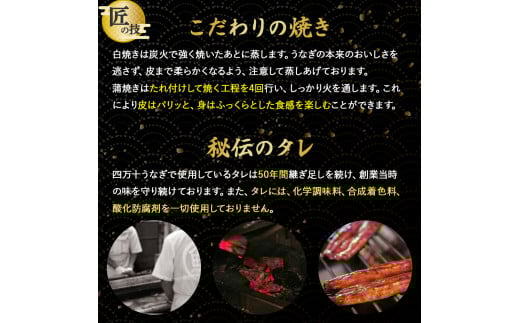 うなぎ 蒲焼き セット 220g (110g×2本) ／Esu-A92