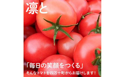 受付4か月で800件超え四万十産トマト「凛と」／Fbg-A003