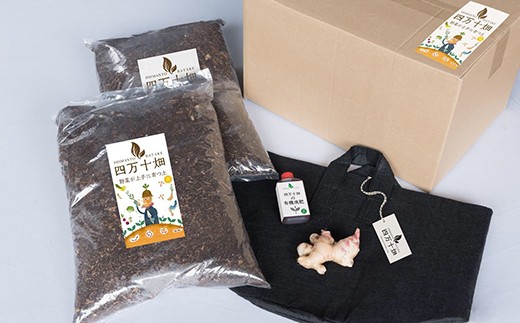 知育にも人気！本格農業体験しょうが栽培キット ／Fis-A02