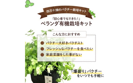 「パクチーを爆盛りたい！」ベランダ有機栽培キット「初心者でもできた！」／Fis-B01 