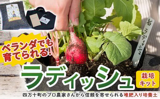 ベランダでも育てられるラディッシュ栽培キット／Fis-B08