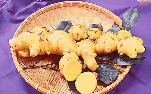 ゆうきのもり生産者こだわりの有機黄金生姜　／Ftf-A01