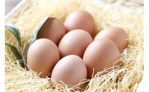 甘さとほろ苦さがくせになる味！「ちょこっこロール」【お届け日指定可能】／Gbn-A07 