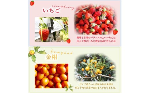 四万十ショコラシュトーレン（ホール）／Ikg-108