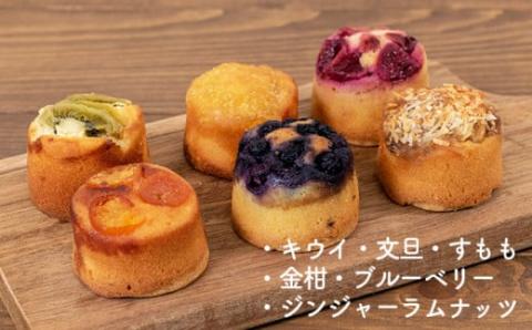 【しまんと果実／エコ包装】タルト（6個入：キウイ・すもも・文旦・ブルーベリー、金柑、ジンジャーラムナッツ）カゴノオト／Ikg-Z98