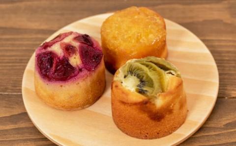  【しまんと果実／エコ包装】タルト（3個入：キウイ・すもも・文旦）カゴノオト／Ikg-Z97